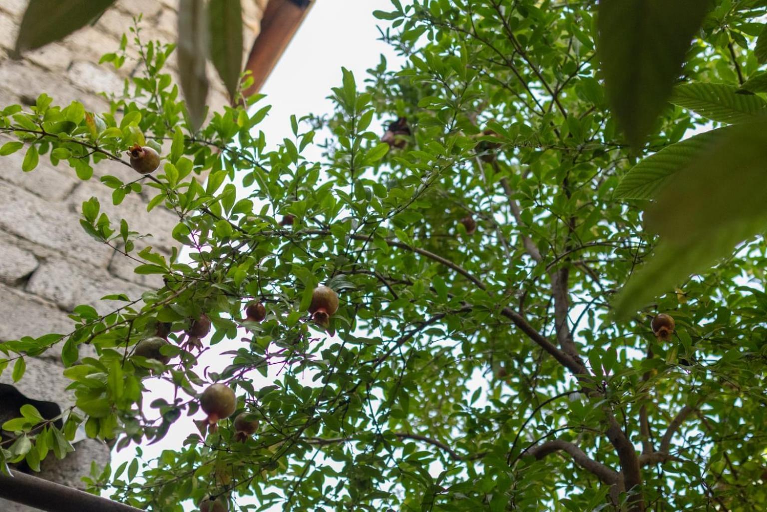 Wine House Hotel Tbilisi Bagian luar foto